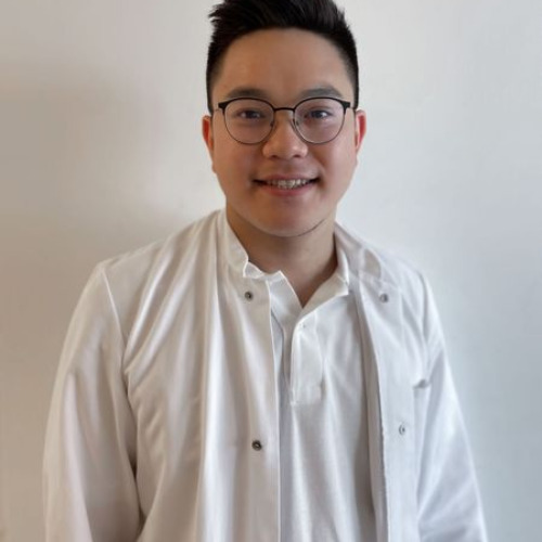 Herr Huy Luong